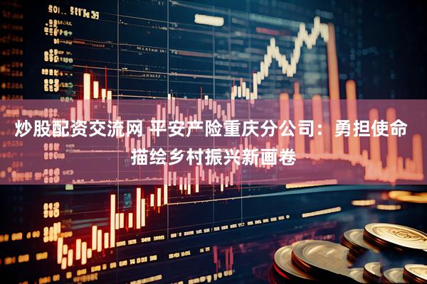 炒股配资交流网 平安产险重庆分公司：勇担使命 描绘乡村振兴新画卷